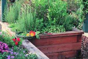 Herb Gardens To Be Discussed At Beekman Library Planting Event