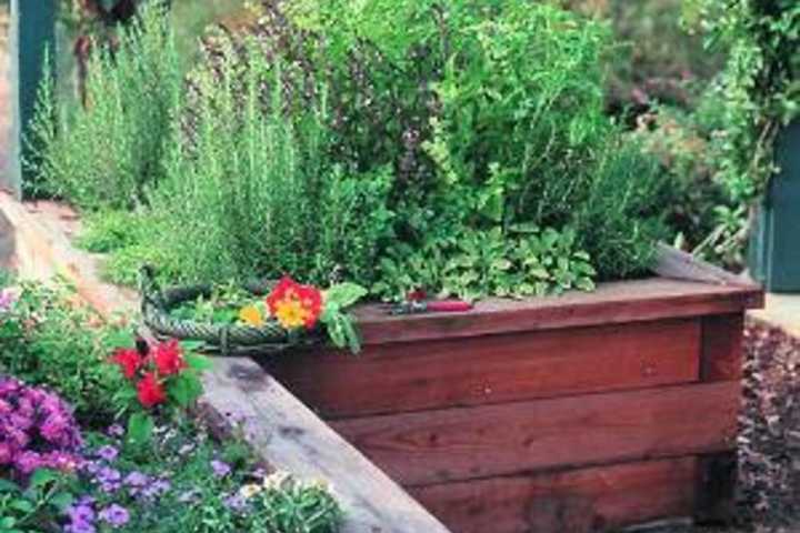 Herb Gardens To Be Discussed At Beekman Library Planting Event