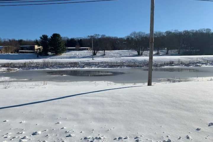 Police Officer Rescues Man, Dog From Ice-Covered Pond In Easton