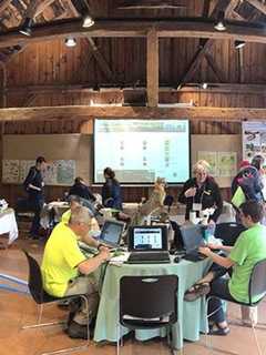 BioBlitz Event Counts Up 450 Different Species At Wilton's Weir Farm