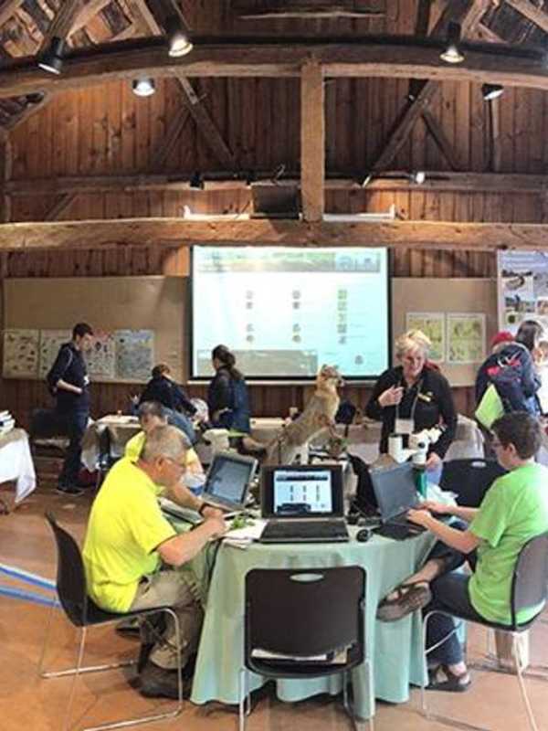 BioBlitz Event Counts Up 450 Different Species At Wilton's Weir Farm