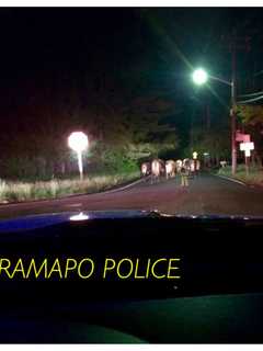 Police Respond To Cows Roaming Roadway In Ramapo