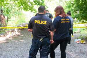 New Rochelle Ranks Below Average In New York's Safest Places Survey