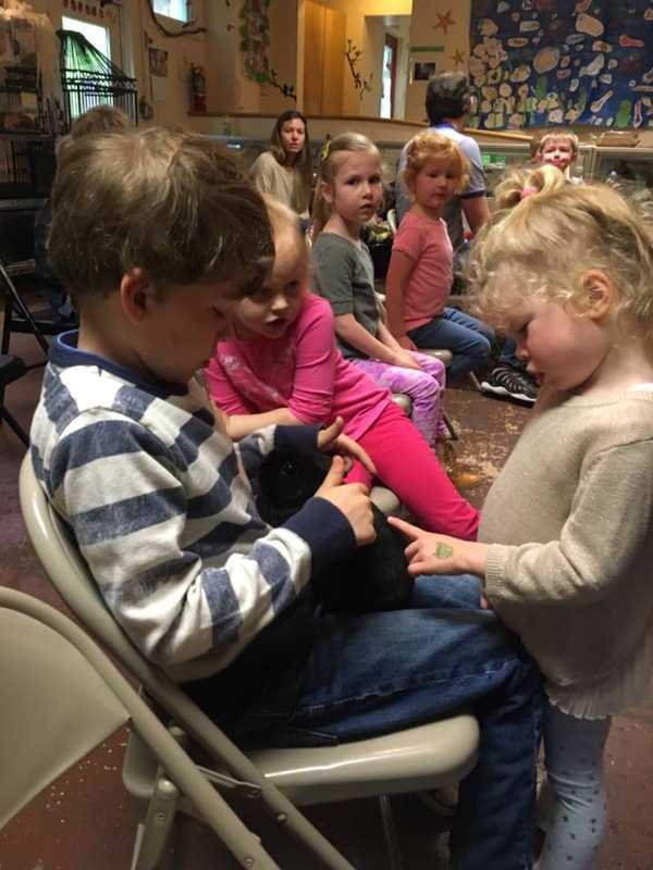 Weinberg Nature Center Launches June Bugz Program