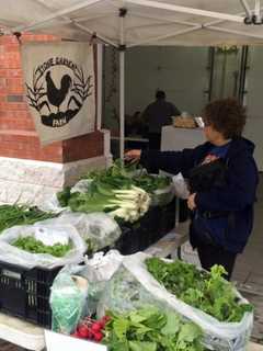 Early Opening Is Not The Only Thing Special About Shelton Farmers Market
