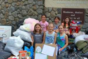 Somers Girl Scouts Donate A Ton Of Goods To Putnam Humane Society