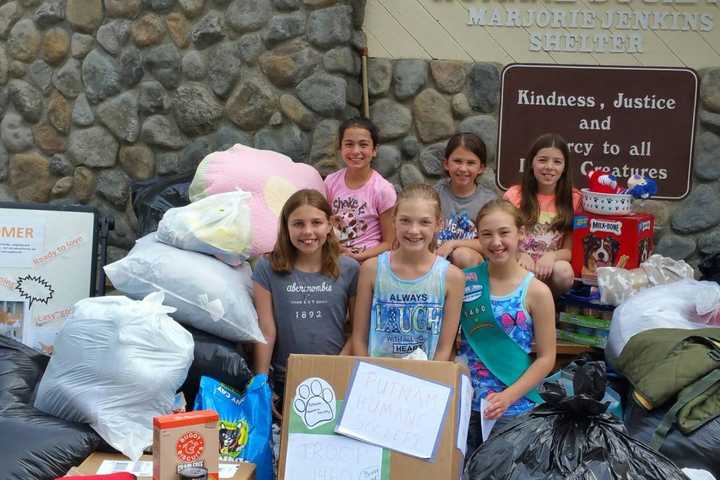 Somers Girl Scouts Donate A Ton Of Goods To Putnam Humane Society