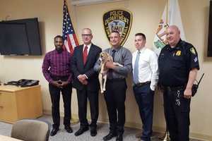 Stolen Puppy Found Safe By A Good Samaritan