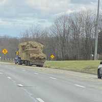 <p>No injuries were reported in the mishap, which stretched hay bales for nearly a quarter mile starting around the Garden State Parkway 14A ramp and truck pit.</p>