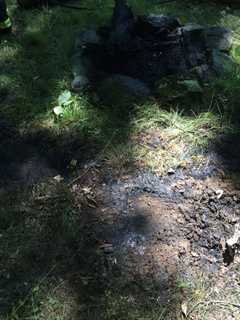 Firefighters Respond To Brush Fire In Cortlandt