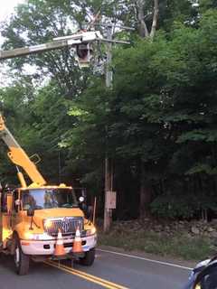 Eversource Plans Extensive Tree-Trimming Work In Wilton