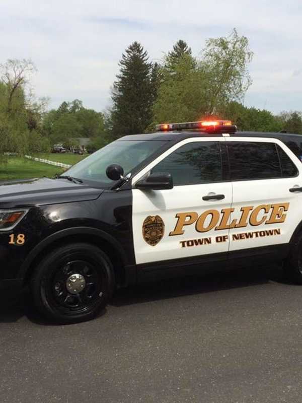 Police: Danbury Man Ditched Stolen Car, Took Minivan Keys From Newtown Girl