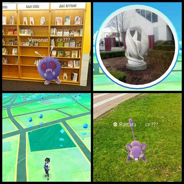 The New Rochelle Public Library was the place to be for trainers playing Pokemon GO.