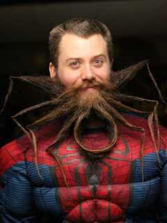 Things Are Getting Hairy At Westport Police Department