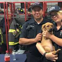 <p>Werner Ennesser, Jackie Calkins, and their pooped new pup.</p>