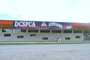 Ex-Dutchess SPCA Official Wants Animal Deaths Investigated