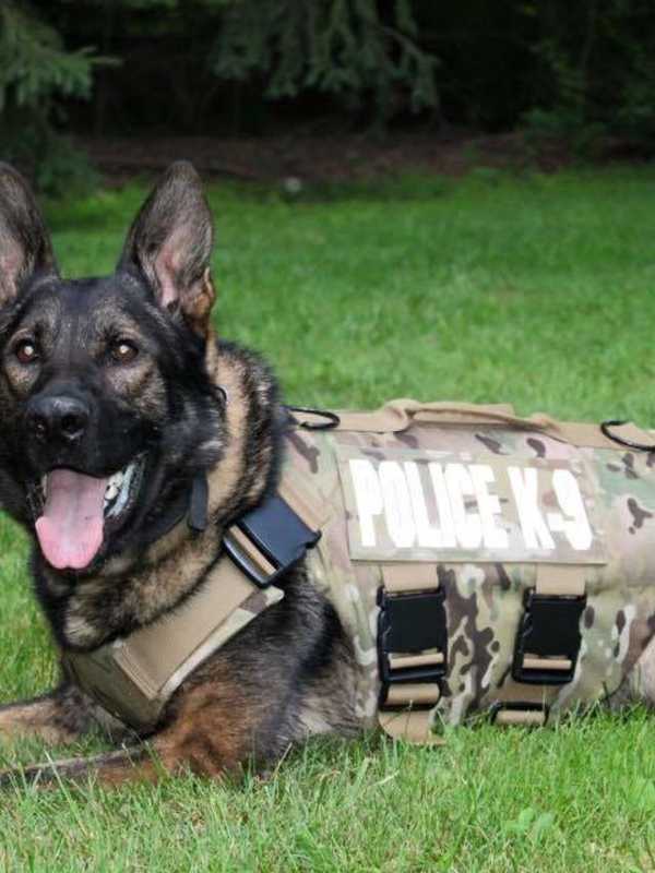 Fairfield Police K-9s Receive New Safety Gear