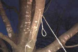 Police Say Twine Tied To Tree In Fair Lawn Doesn't Appear Suspicious, Mayor Not Buying It