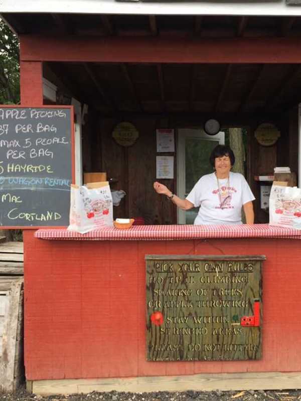 'Sweeten' Your Fall Apple Picking At The Orchards Of Concklin In Pomona
