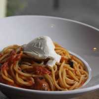 <p>Pasta is popular at Zero Otto Nove in Armonk.</p>