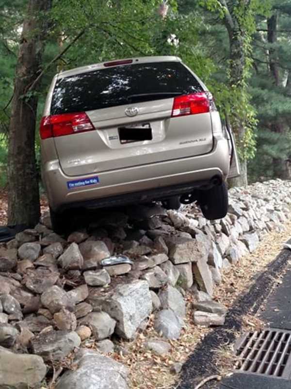 Distracted Driver Slams Into Tree In Ramapo, Say Police