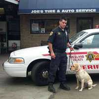 <p>K9 Officer Gunner, who was an explosives expert, recently died.</p>