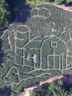 NJ Magazine Says This Bergen County Corn Maze Is Among State's Best