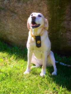 Rockland Sheriff's Office Mourns Loss Of Beloved K9 Officer Gunner