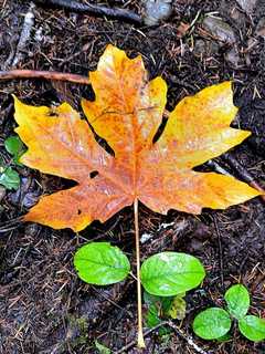Get Set For Sweater Weather, Wyckoff As Fall Begins