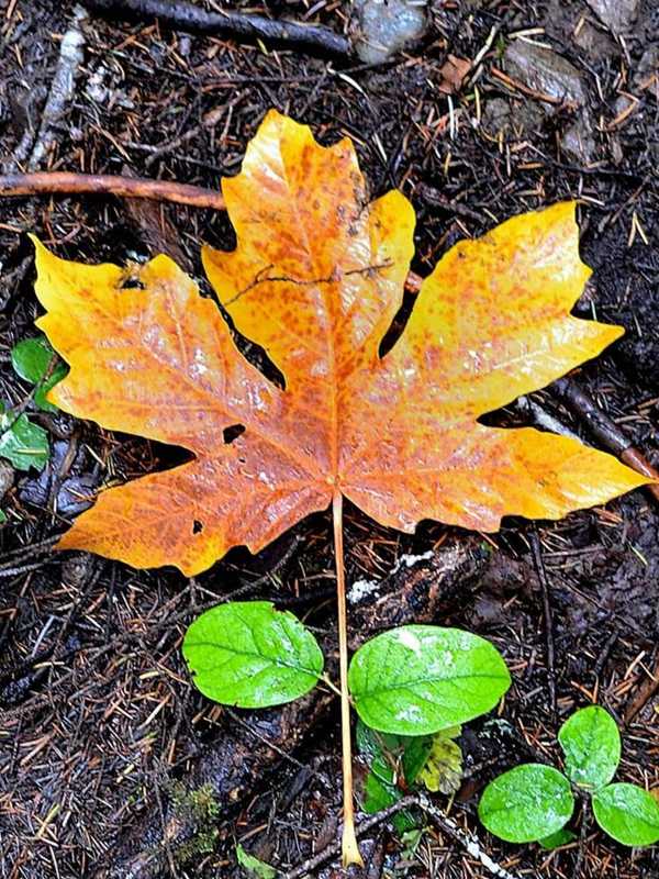 Get Set For Sweater Weather, Wyckoff As Fall Begins