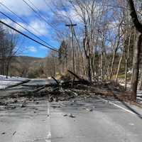 <p>Downed trees and utility lines have closed several roads in Rockland County.</p>