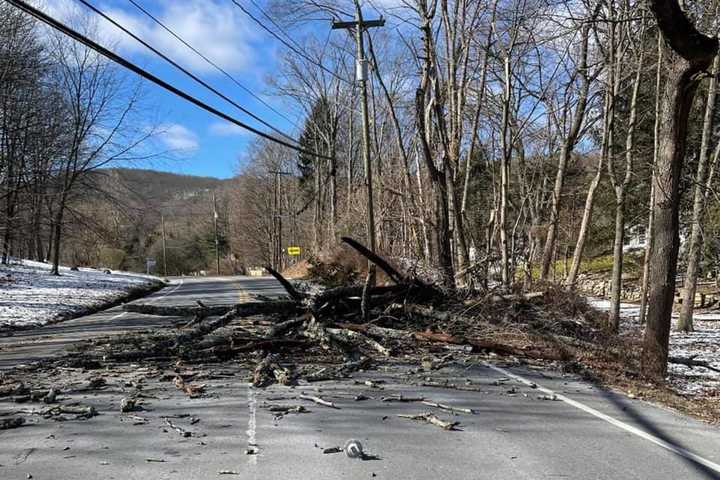 High Winds Knock Down Trees, Causing Road Closures In Rockland