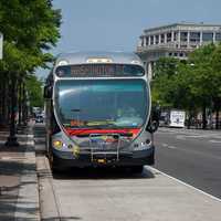 <p>DC Metrobus</p>