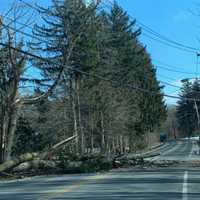 <p>High winds have closed several roads in Rockland County.</p>