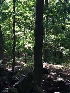 Brush Fire Rages For Second Day In Cortlandt