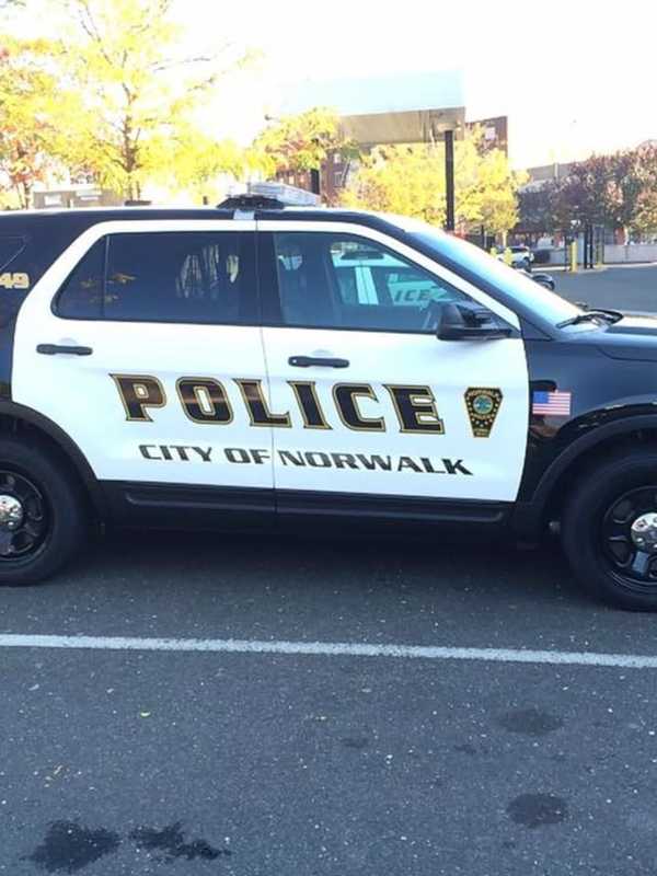 Family Dispute Over Cat In Norwalk Prompts Temporary School Alert