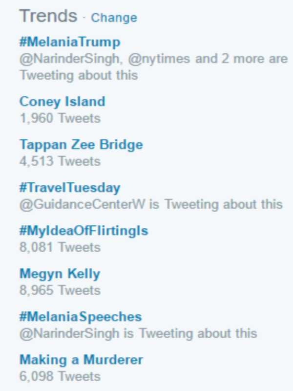 Social Media Buzzes Over Tappan Zee Bridge Crane Collapse