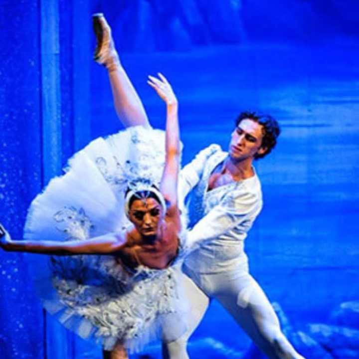 &quot;Swan Lake&quot; is coming to Poughkeepsie for a single performance.