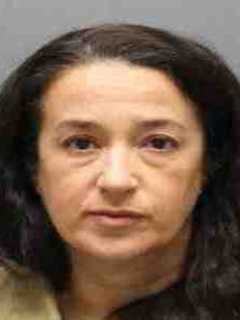 NYPD Psychologist From Yonkers Pleads Guilty To Shooting Husband In Head