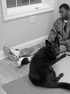 Students At Children's Village Form Strong Bond With Shelter Dogs