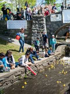 Tarrytown Celebrates 10th Annual Rubber Duck Derby