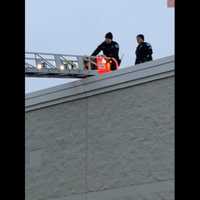 <p>A Bucks County police K-9 found a burglary suspect on the rooftop of a local Home Depor after he attempted to flee from police over the weekend, authorities said.</p>