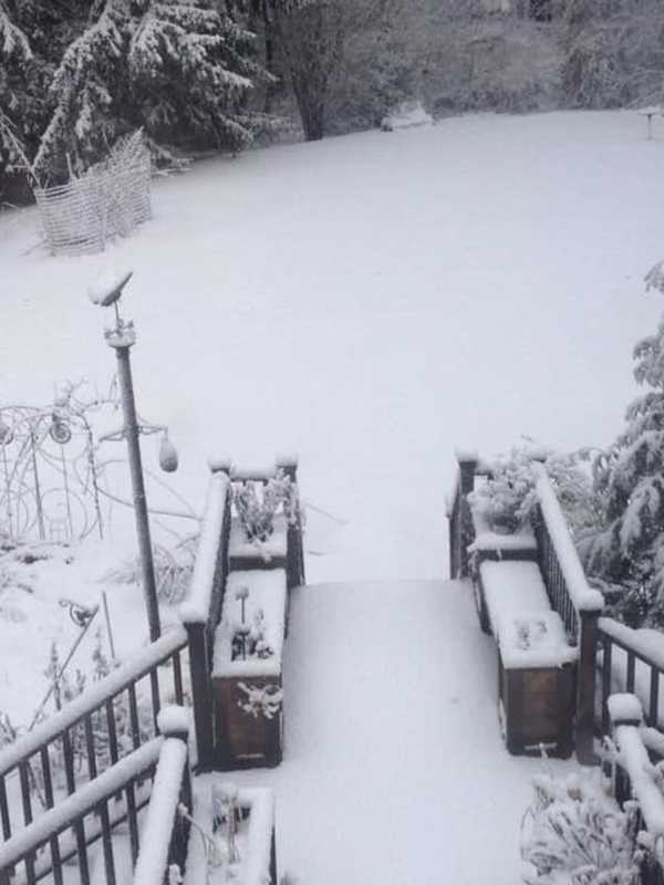 How Much Snow Did You Get? Check Totals From Throughout Westchester