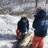 <p>A dolphin was found stranded on the shore on Long Island</p>