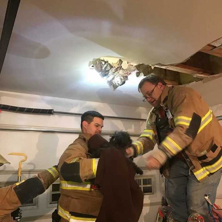 Firefighters from the Shelton Volunteer Fire Co. #4 Pine Rock Park break open the ceiling of a home after a dog became trapped in heating duct.