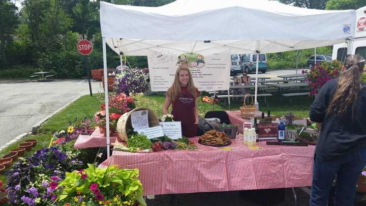 Wyckoff environmentalists are seeking a high school volunteer member.