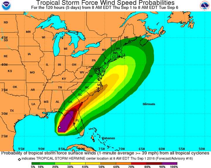 Tropical Storm Hermine could bring heavy rains and high winds to the area over the Labor Day weekend.