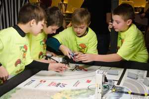 Ready. Set. Roar!: 'Animal Allies' Focus Of Chappaqua Robotics Contest