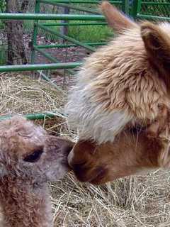 Ready For Farm Fun, Orange County? Fall Is 'Unofficially' Here