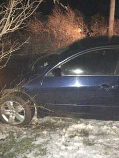 Police: Man Who Crashes Into Spring Valley Yard Had BAC Twice Legal Limit
